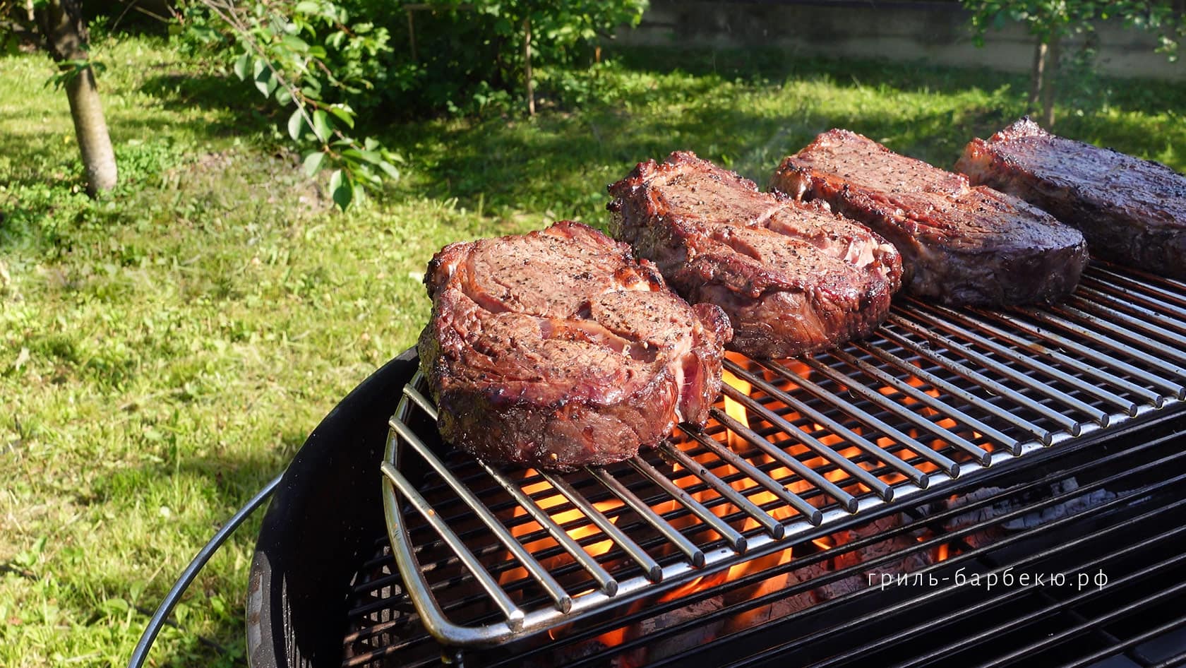 Рибай — что это такое